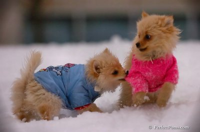 Dec2_07_357.JPG