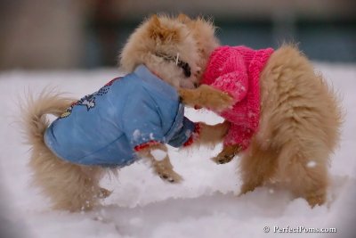 Dec2_07_360.jpg