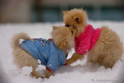 Dec2_07_361.jpg