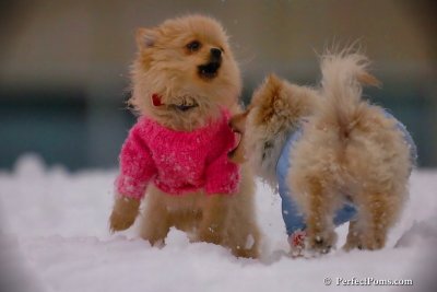 Dec2_07_362.jpg