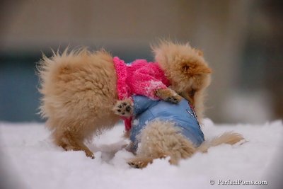 Dec2_07_364.jpg