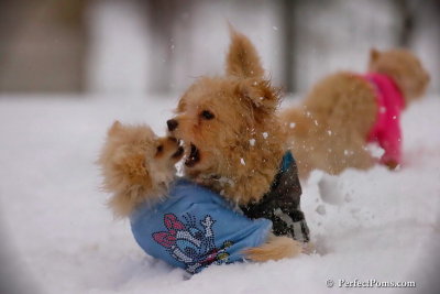 Dec2_07_366.jpg