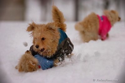 Dec2_07_368.JPG