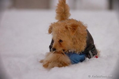 Dec2_07_369.jpg