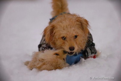 Dec2_07_370.jpg