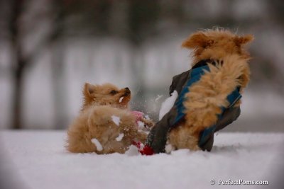 Dec2_07_373.jpg