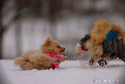 Dec2_07_374.jpg