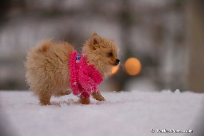Dec2_07_376.jpg