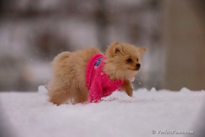 Dec2_07_377.jpg