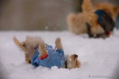 Dec2_07_380.jpg