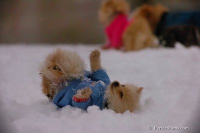 Dec2_07_381.jpg