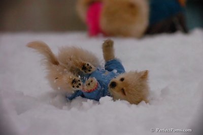 Dec2_07_384.jpg