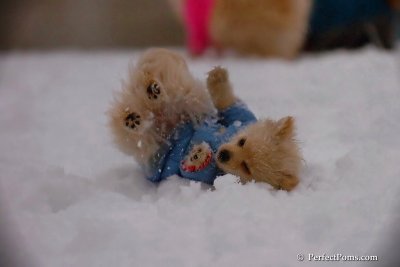 Dec2_07_385.jpg