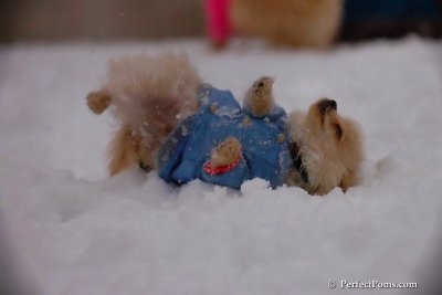 Dec2_07_386.jpg