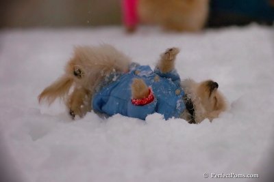 Dec2_07_387.jpg