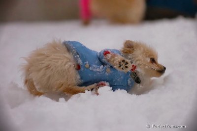 Dec2_07_390.jpg