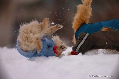 Dec2_07_394.jpg