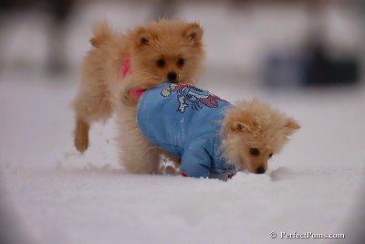 Dec2_07_399.jpg
