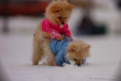 Dec2_07_401.jpg