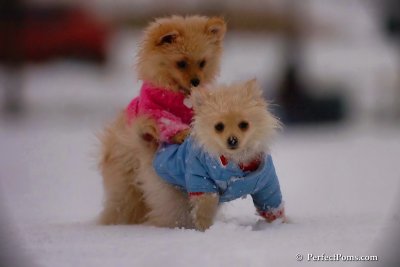 Dec2_07_402.jpg