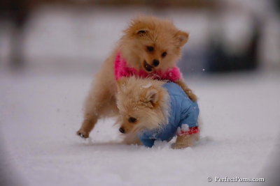 Dec2_07_404.jpg