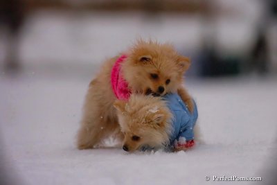 Dec2_07_405.jpg