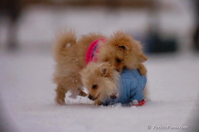 Dec2_07_406.jpg