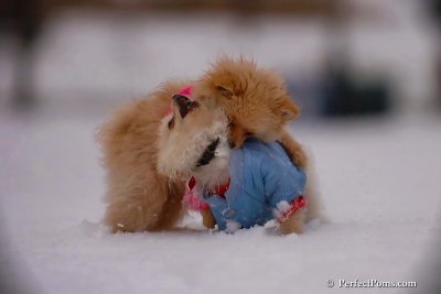 Dec2_07_407.jpg