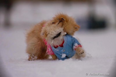 Dec2_07_408.jpg