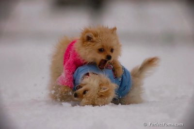 Dec2_07_412.jpg