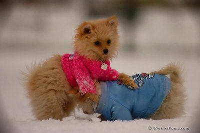 Dec2_07_413.jpg