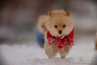 Dec2_07_414.jpg