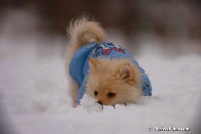 Dec2_07_416.jpg