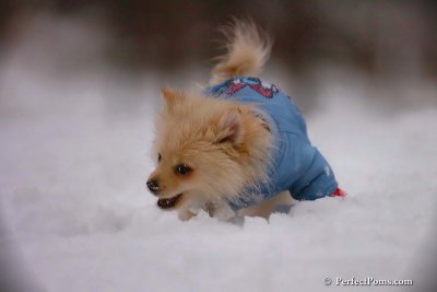 Dec2_07_417.jpg