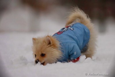 Dec2_07_418.jpg