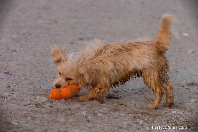 Oct1_07_786.jpg