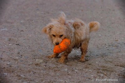 Oct1_07_788.jpg