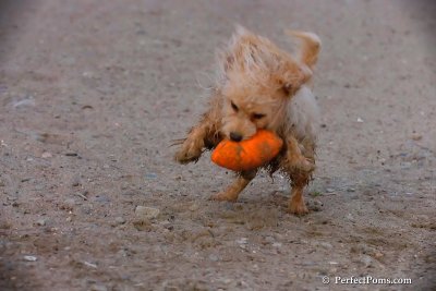Oct1_07_789.jpg