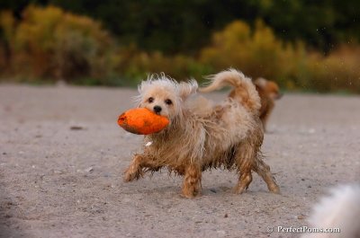 Oct1_07_798.JPG