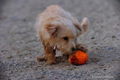 Oct1_07_805.jpg