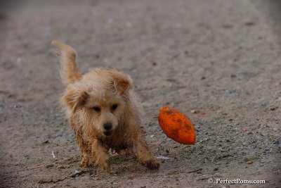 Oct1_07_811.jpg