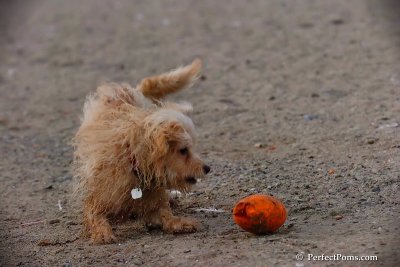 Oct1_07_812.jpg