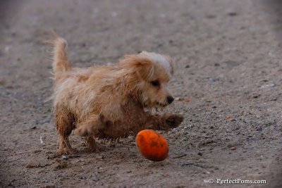 Oct1_07_813.jpg