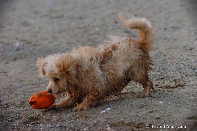 Oct1_07_816.jpg