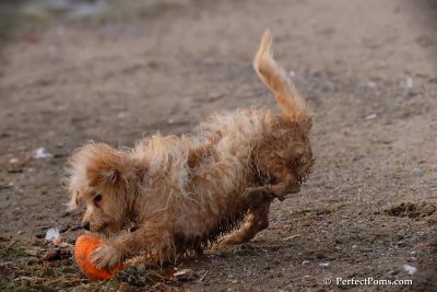 Oct1_07_820.jpg