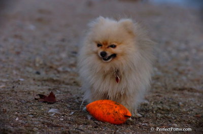 Oct1_07_722.JPG