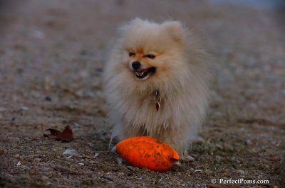Oct1_07_723.JPG