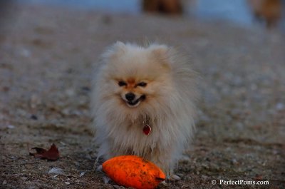 Oct1_07_725.JPG