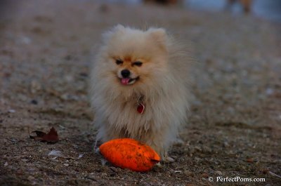Oct1_07_726.JPG