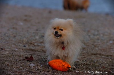 Oct1_07_728.JPG